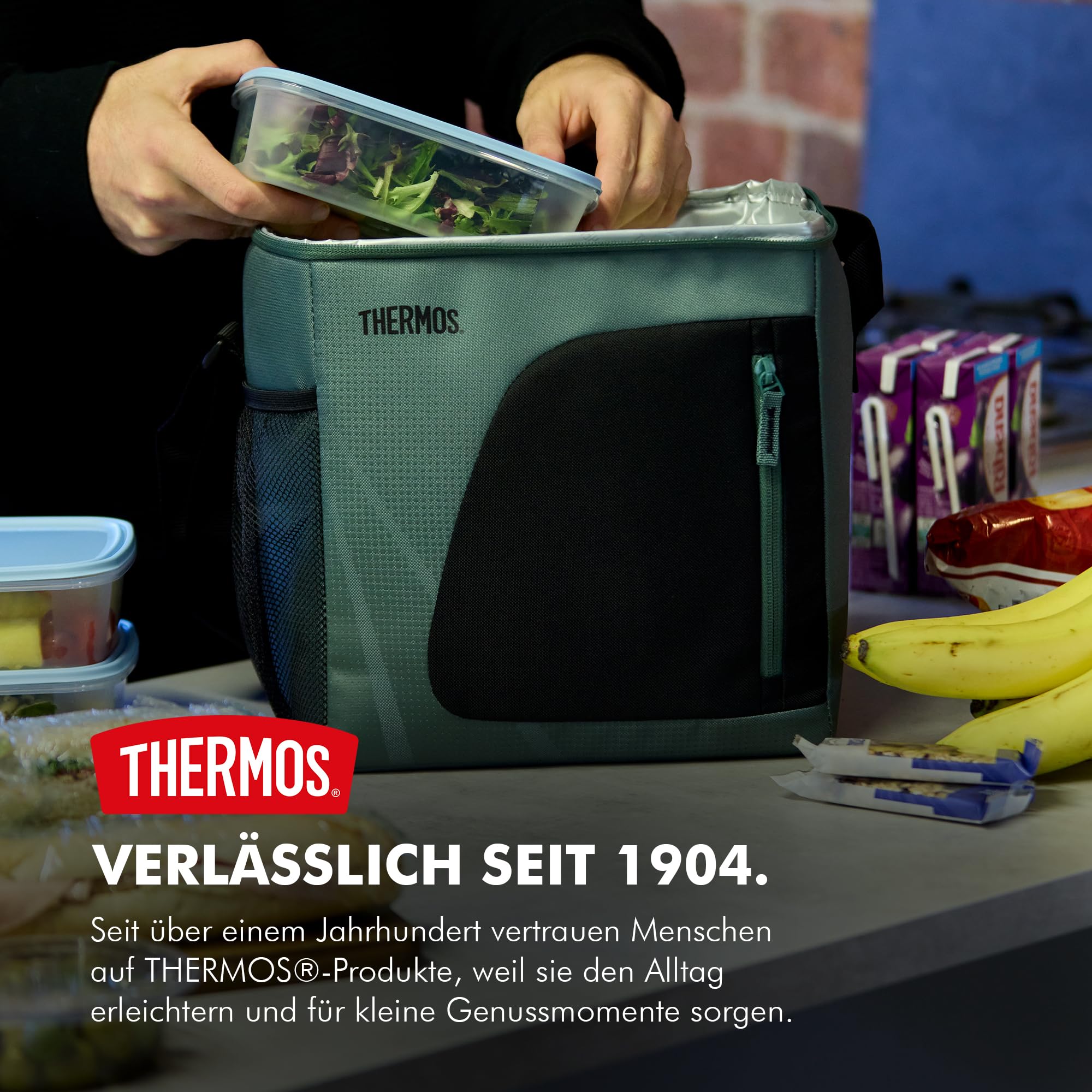 thermos-icon-cooler-k-hltasche-faltbare-picknick-und-camping-k-hltasche-mit-wass image 2